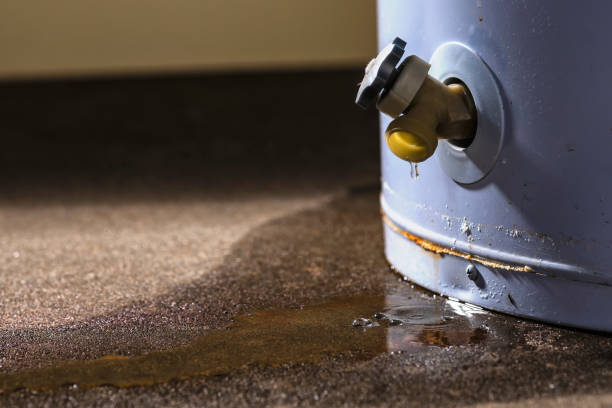 Best Residential water damage restoration  in Reedley, CA