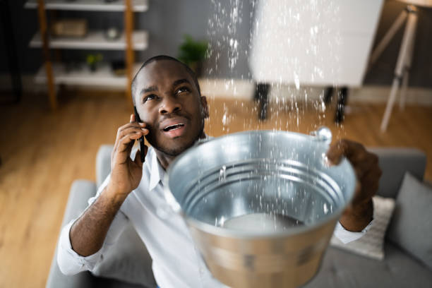 Best Water damage restoration process  in Reedley, CA