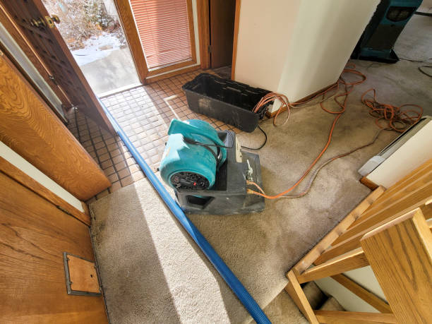 Sewage cleanup and water damage restoration in Reedley, CA