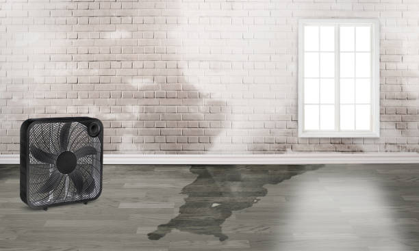 Best Commercial water damage restoration  in Reedley, CA