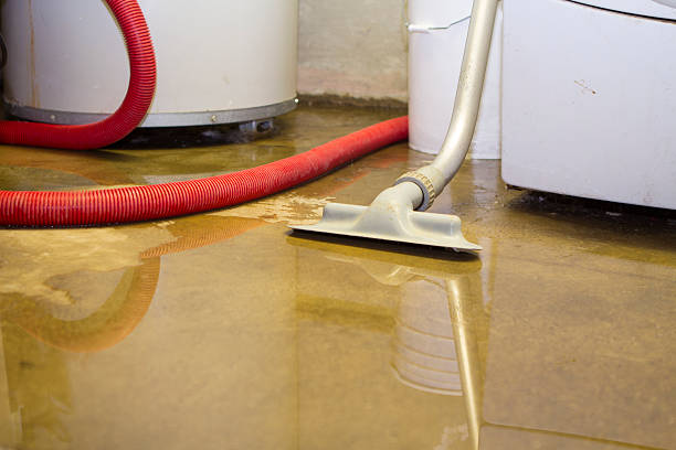 Best Carpet water damage restoration  in Reedley, CA