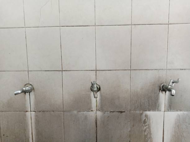 Best Water damage mitigation services  in Reedley, CA