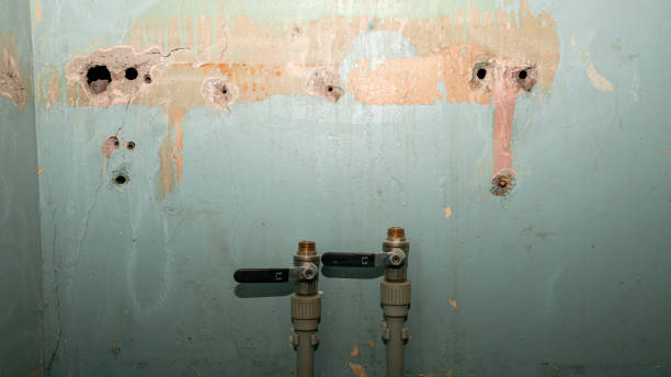 Best Water damage restoration insurance claims  in Reedley, CA