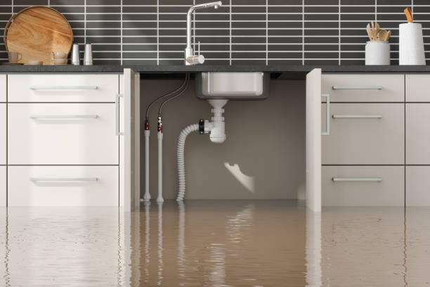 Best Water damage repair service  in Reedley, CA
